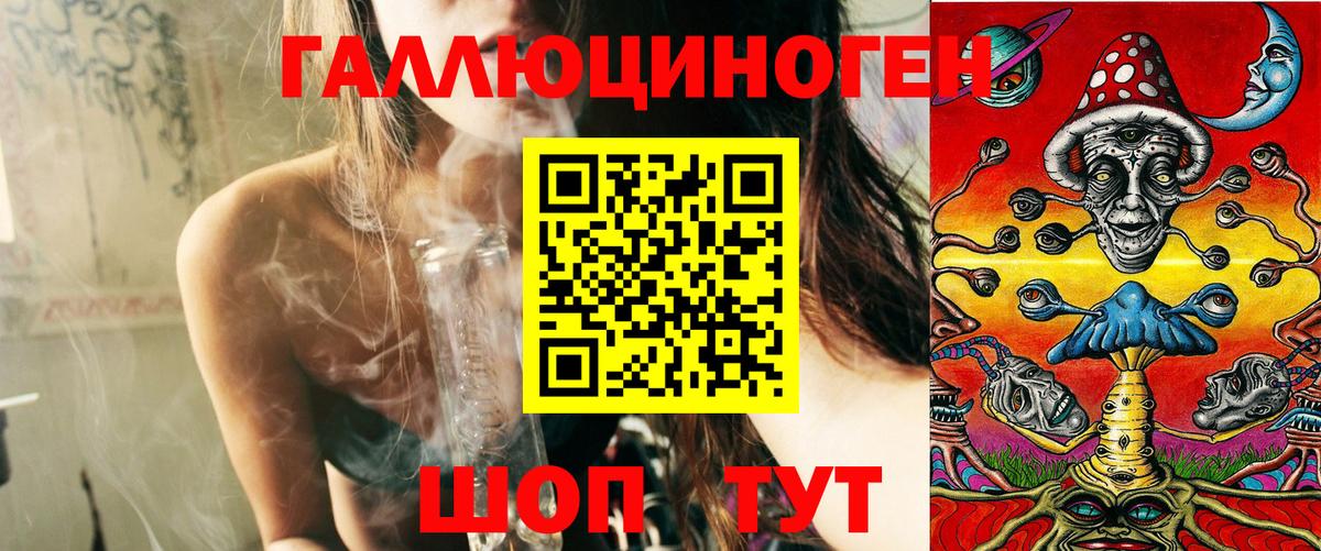 Галлюциногенные грибы Cubensis  Вход с VPN  Карасук 